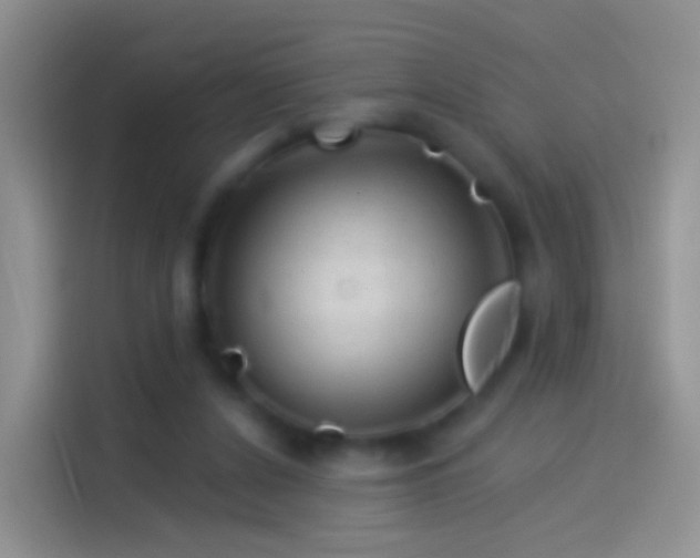 X0000114120256200910131410