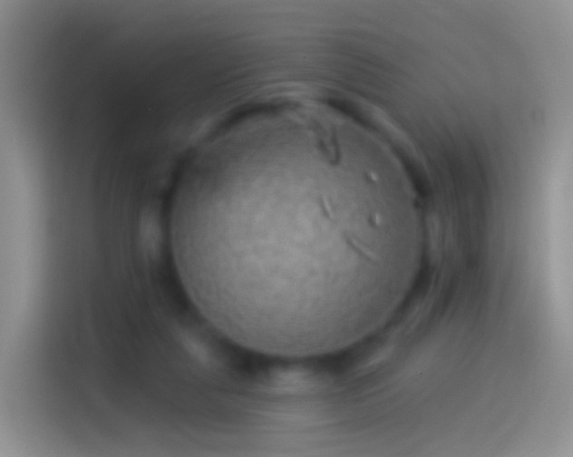 X0000114120259200910131410