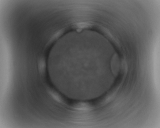 X0000114120260200910131410