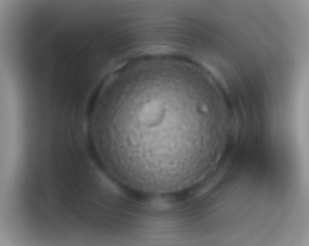 X0000114120261200910131410