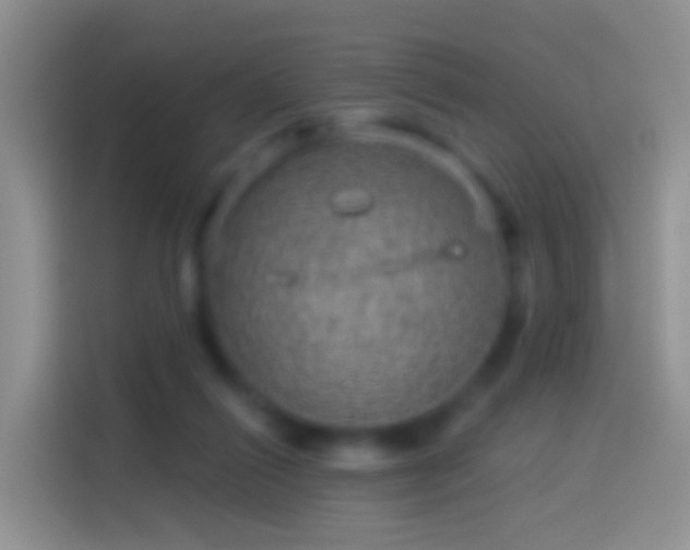 X0000114120262200910131410