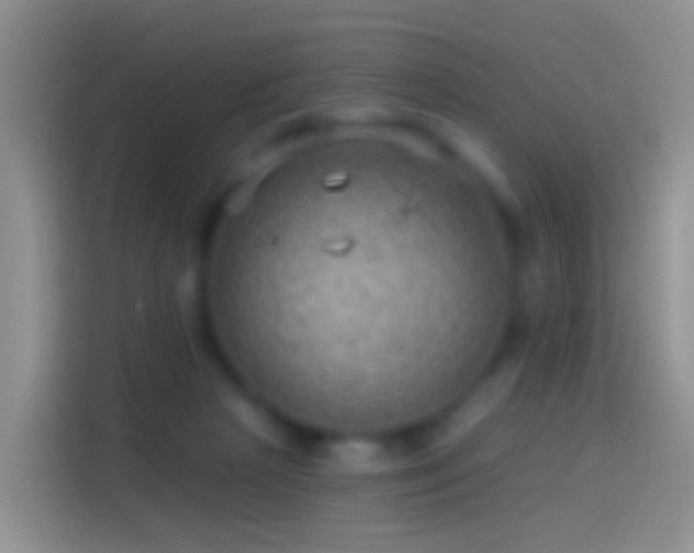 X0000114120265200910131410