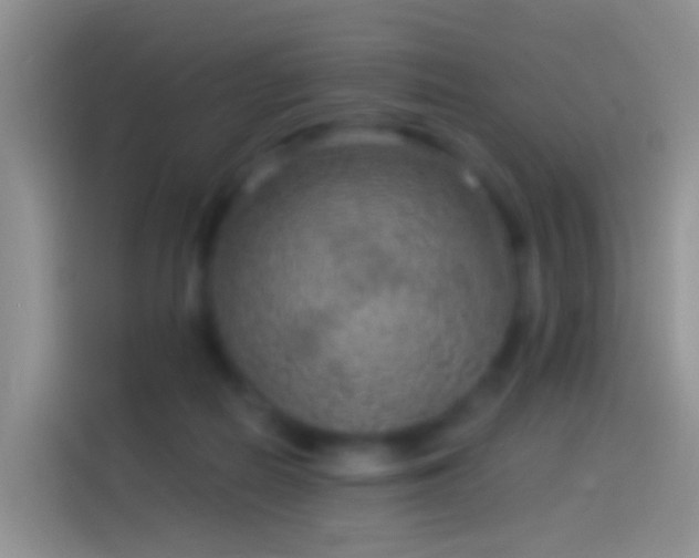 X0000114120266200910131410