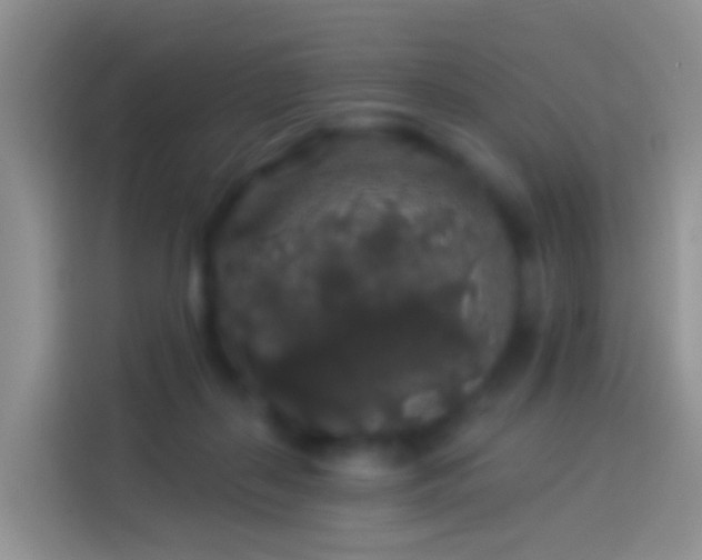 X0000114120267200910131410