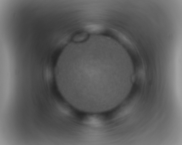 X0000114120268200910131410