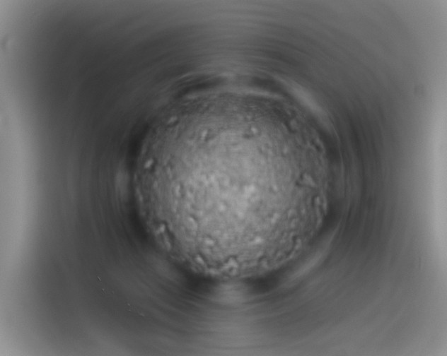 X0000114120269200910131410