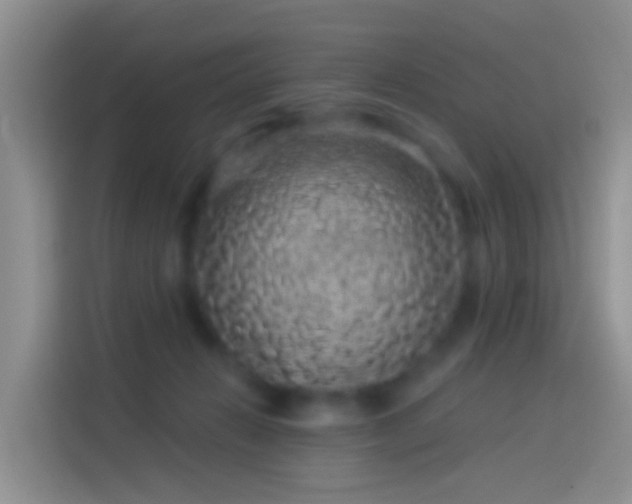 X0000114120270200910131410