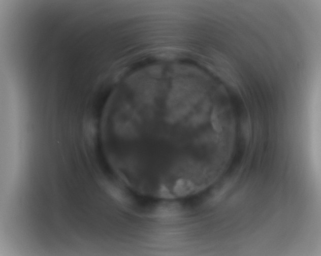 X0000114120271200910131410