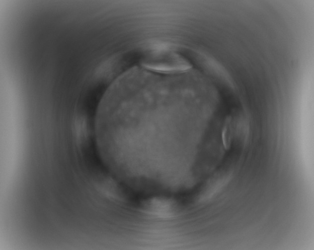 X0000114120272200910131410