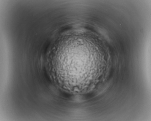 X0000114120273200910131410