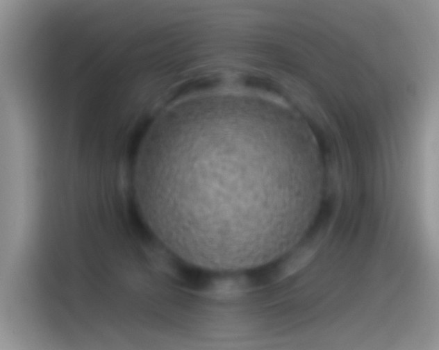 X0000114120274200910131410