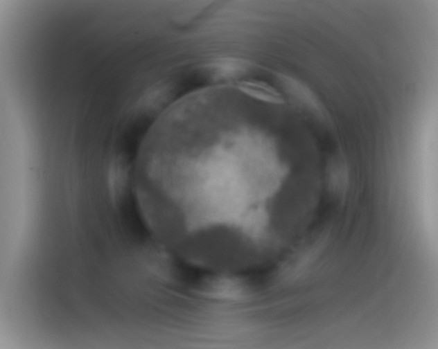 X0000114120276200910131410