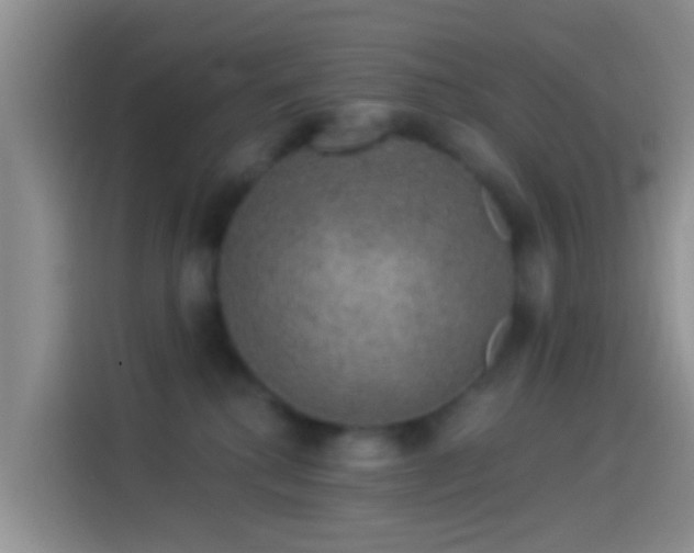 X0000114120280200910131410