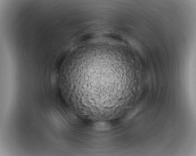 X0000114120281200910131410