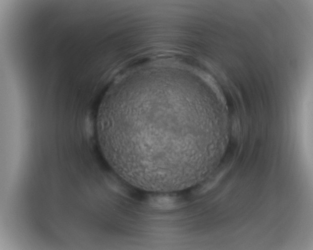 X0000114120282200910131410