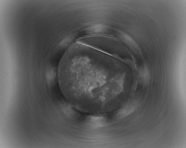 X0000114120284200910131410