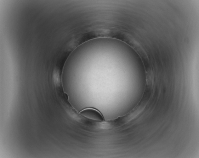 X0000114120287200910131410