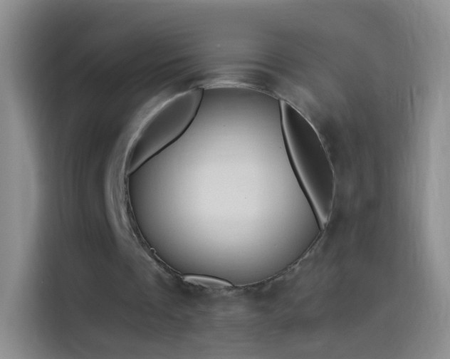 X0000114120289200910131409