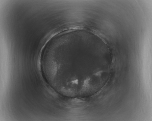 X0000114120290200910131409