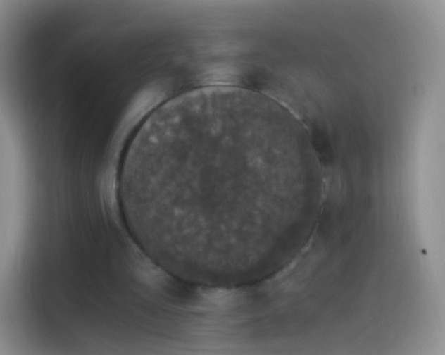 X0000114120293200910131409