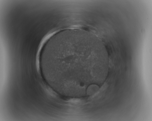 X0000114120294200910131409