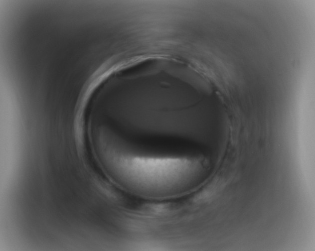 X0000114120295200910131409