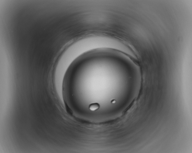 X0000114120297200910131409