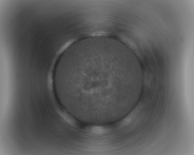 X0000114120298200910131409