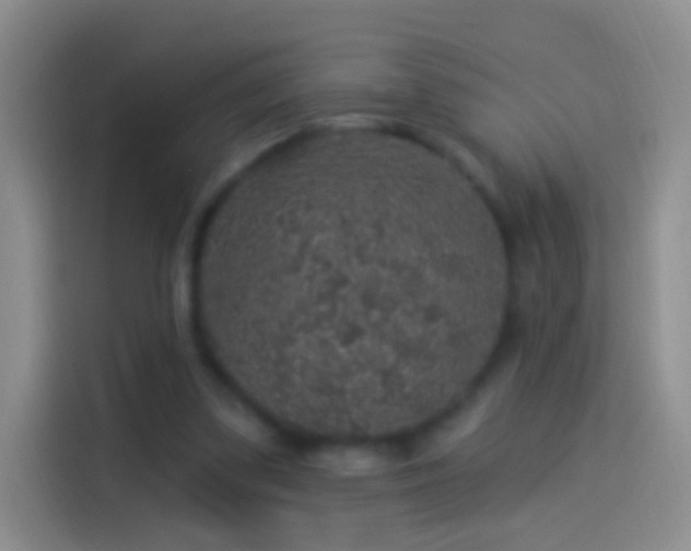 X0000114120299200910131409