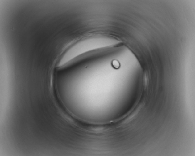 X0000114120301200910131409