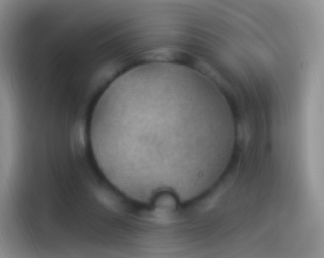 X0000114120302200910131409