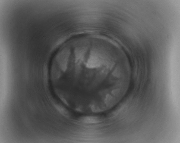 X0000114120303200910131409