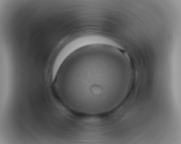 X0000114120304200910131409