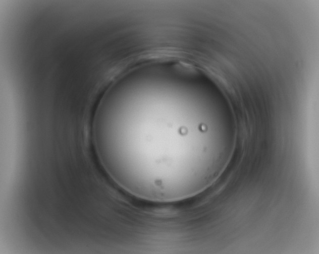 X0000114120309200910131409