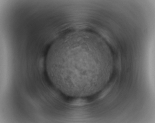 X0000114120319200910131409