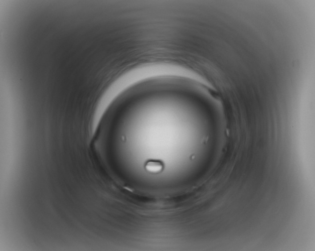 X0000114120320200910131409