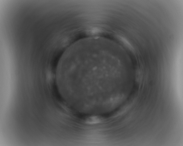 X0000114120324200910131409