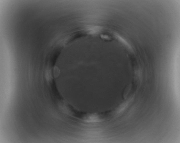 X0000114120325200910131409