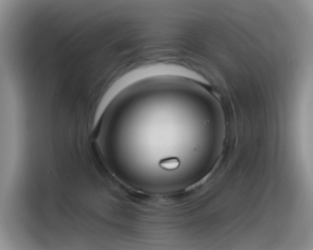 X0000114120328200910131409