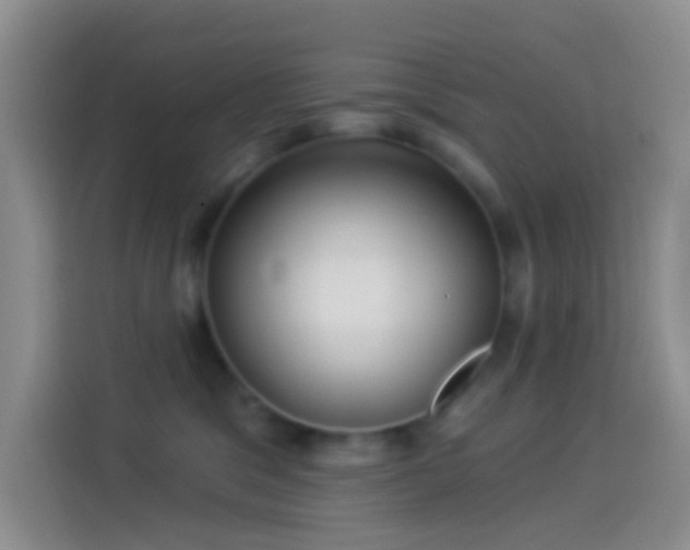 X0000114120329200910131409