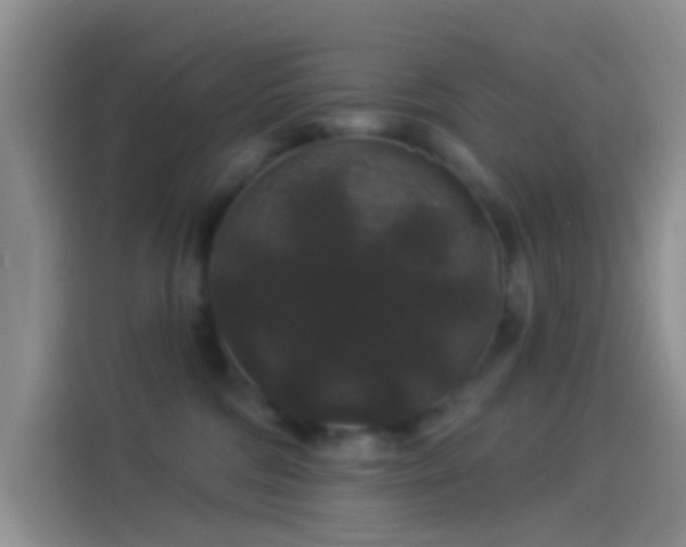 X0000114120330200910131409