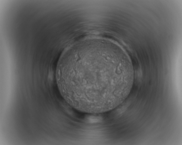 X0000114120331200910131409