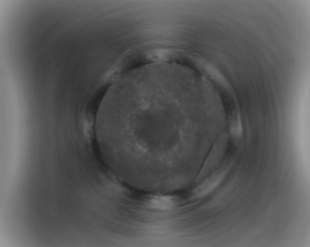 X0000114120332200910131409