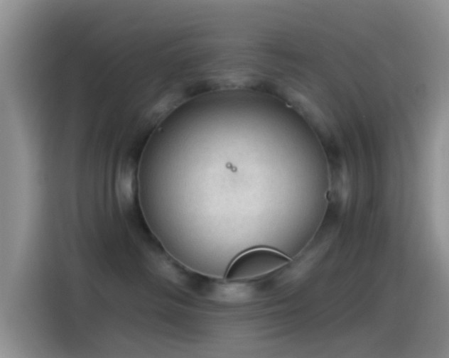 X0000114120334200910131409