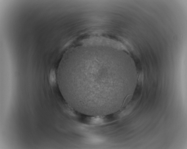 X0000114120335200910131409