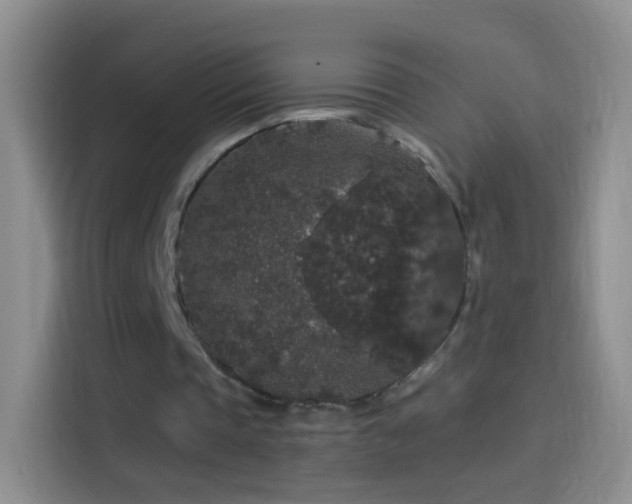 X0000114120337200910131408