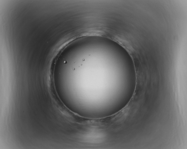 X0000114120338200910131408