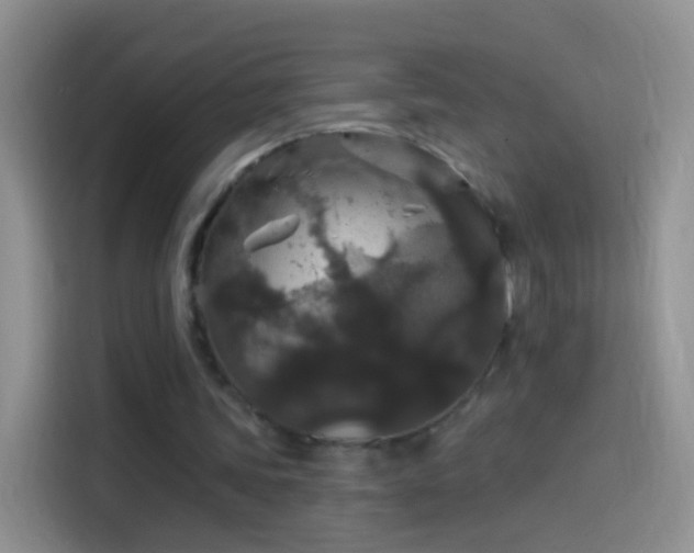 X0000114120339200910131408