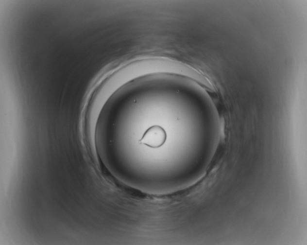 X0000114120340200910131408