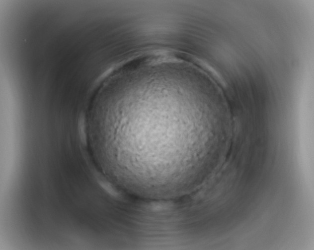 X0000114120345200910131408